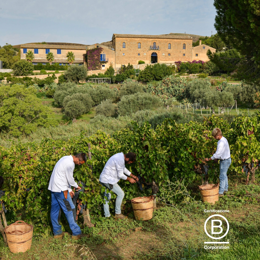 New milestone for our brand partner Tasca d'Almerita: B Corp certification!